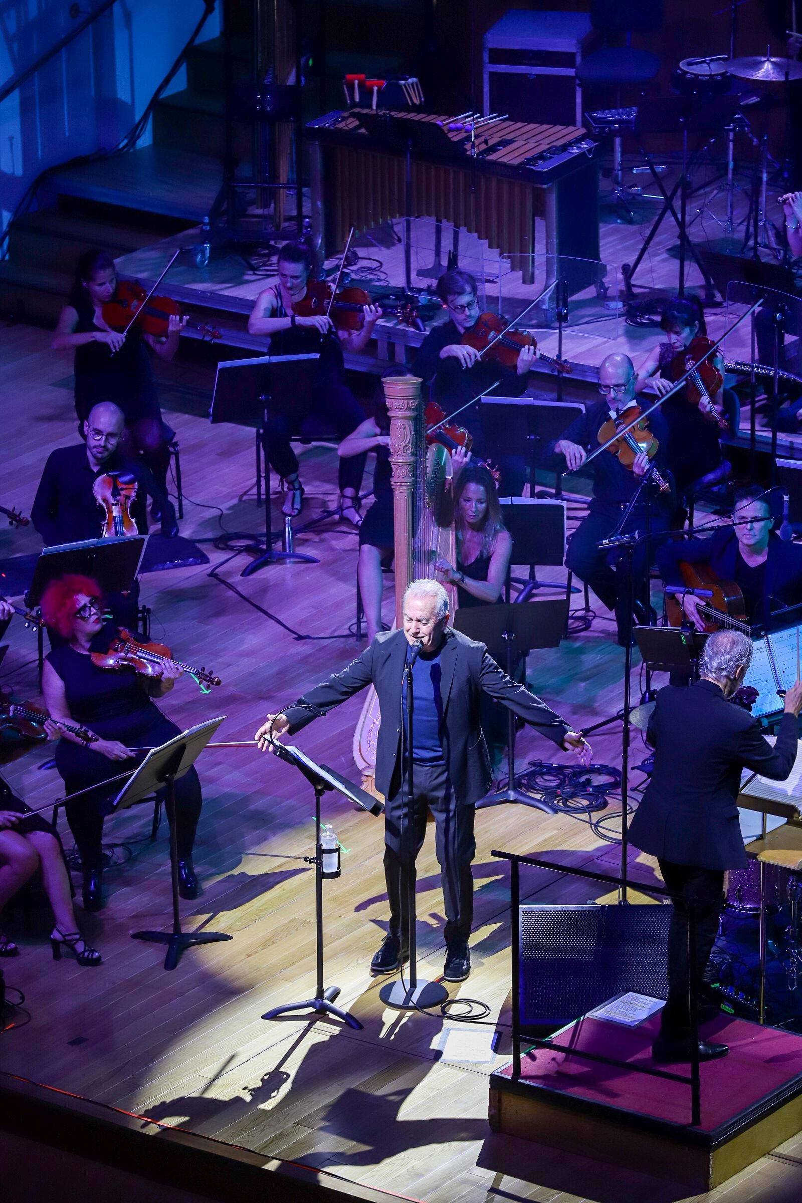 El concierto de Víctor Manuel en Valencia, en imágenes