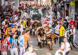 Onda podrá celebrar con normalidad su encierro de la divisa extremeña de Monteviejo, propiedad de Victorino, y que será retransmitido en directo por À Punt.