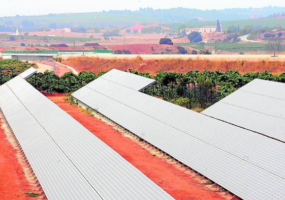 Parque fotovoltaico en Requena.