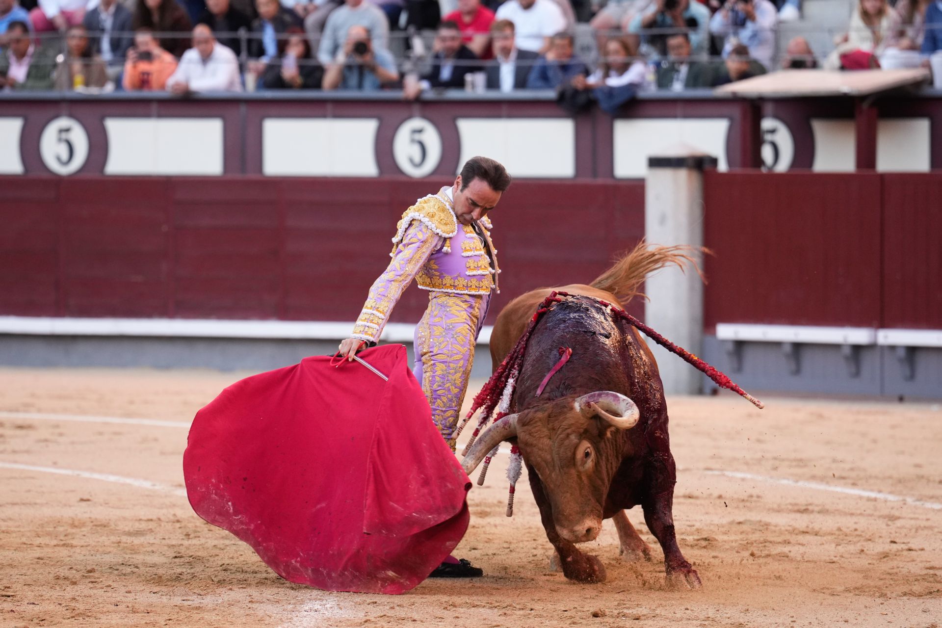 Enrique Ponce abre por quinta vez la puerta grande de Las Ventas