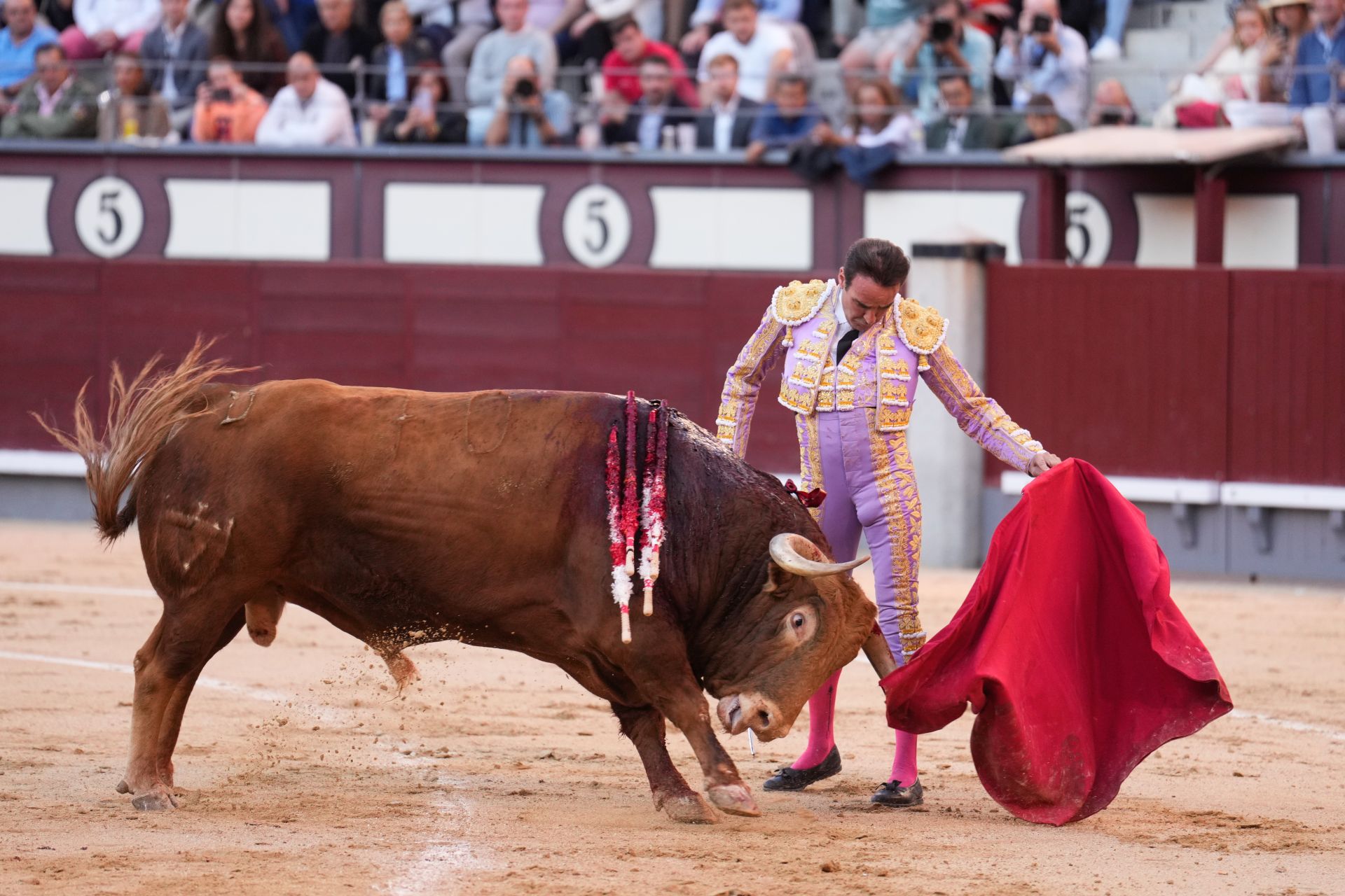 Enrique Ponce abre por quinta vez la puerta grande de Las Ventas