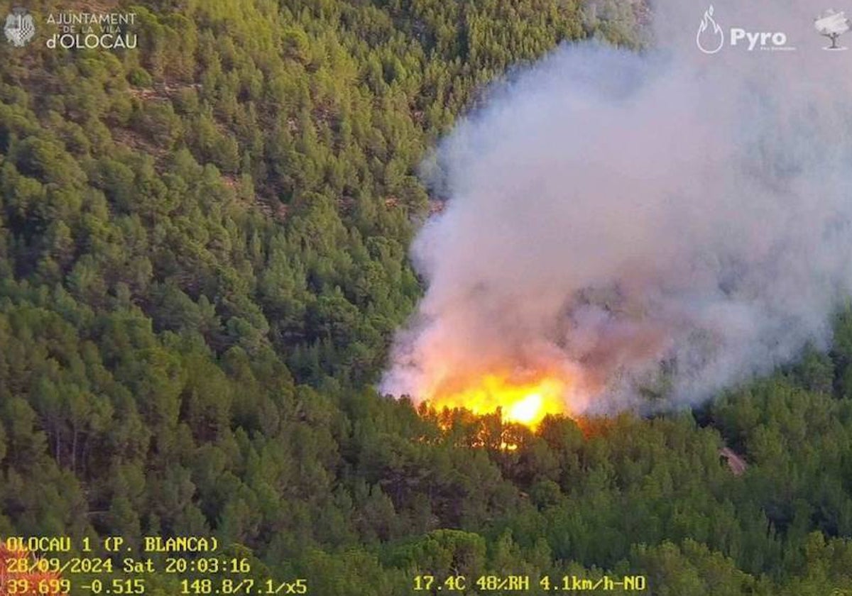 Imagen de la cámara térmica de la zona donde se ha localizado el incendio.