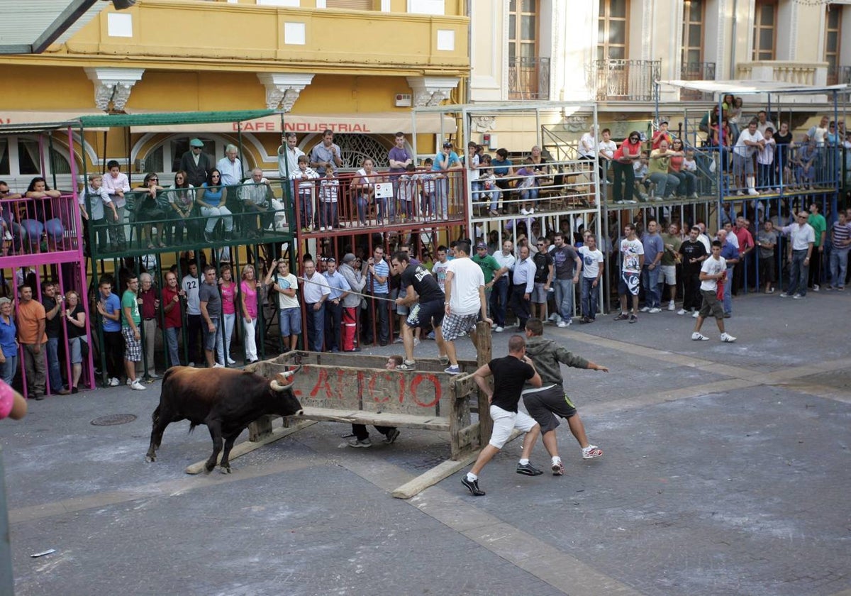 Festejo de bous al carrer en la localidad de Enguera.