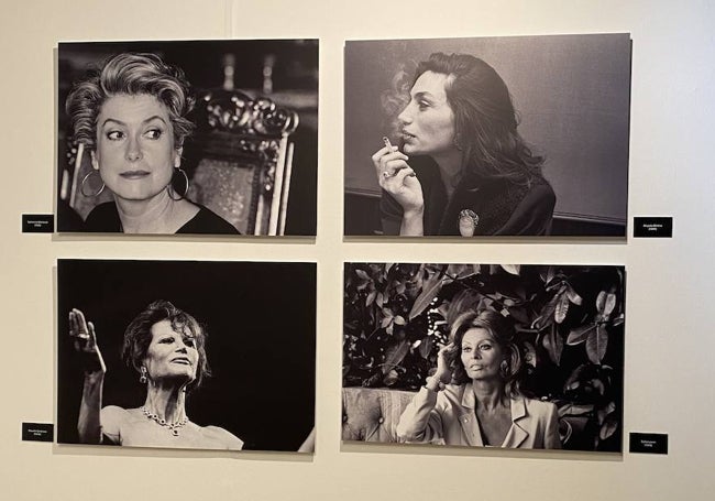 Catherine Deneuve, Ángela Molina, Claudia Cardinalle y Sofía Loren vistas por El Flaco.