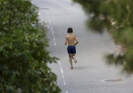 Un joven corre por el antiguo cauce del Turia en Valencia.