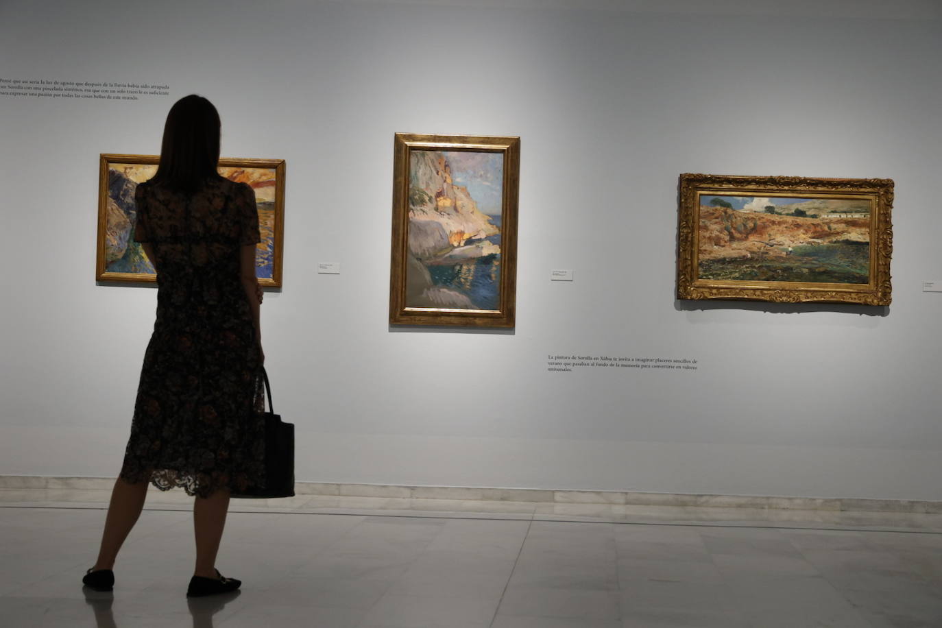 Fotos de la exposición &#039;En el mar de Sorolla con Manuel Vicent&#039;