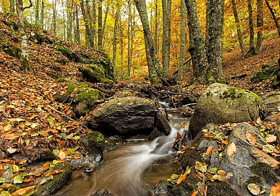 Un paraje en El Tiemblo.