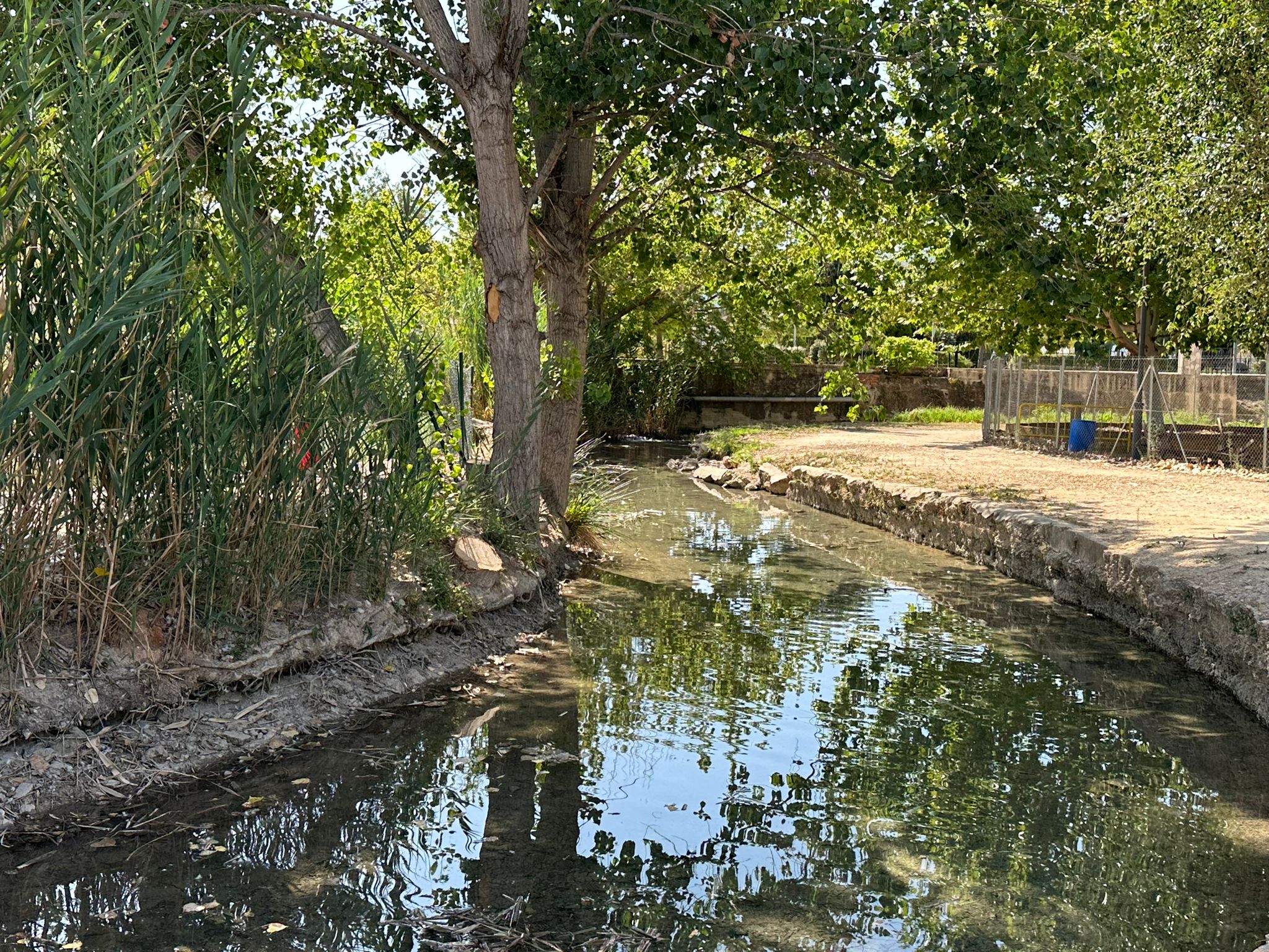 Río Sants ese verano a su paso por Canals, tras la aportación realizaca por el Ayuntamiento.