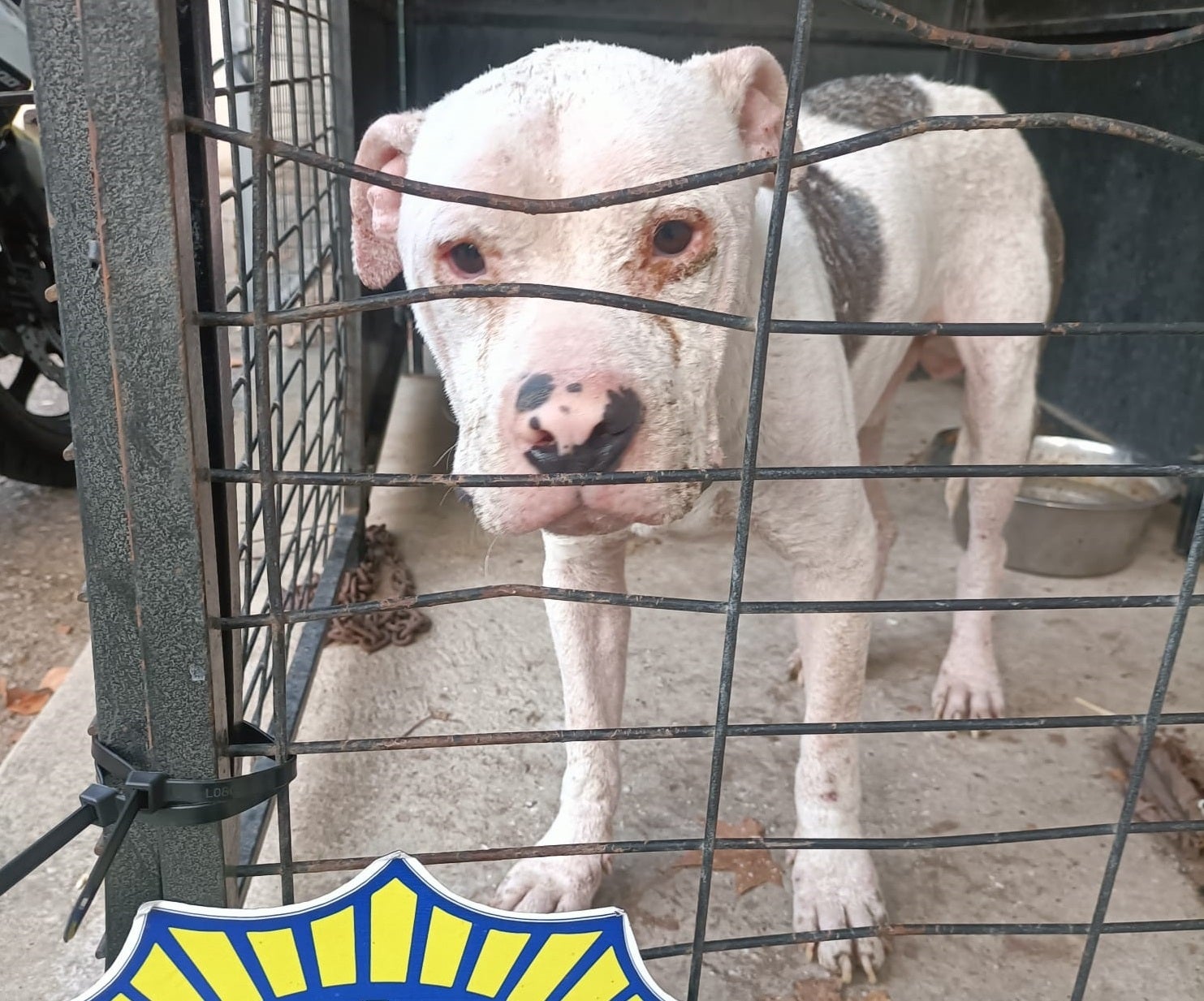 El perro rescatado por los agentes de Policía Local.