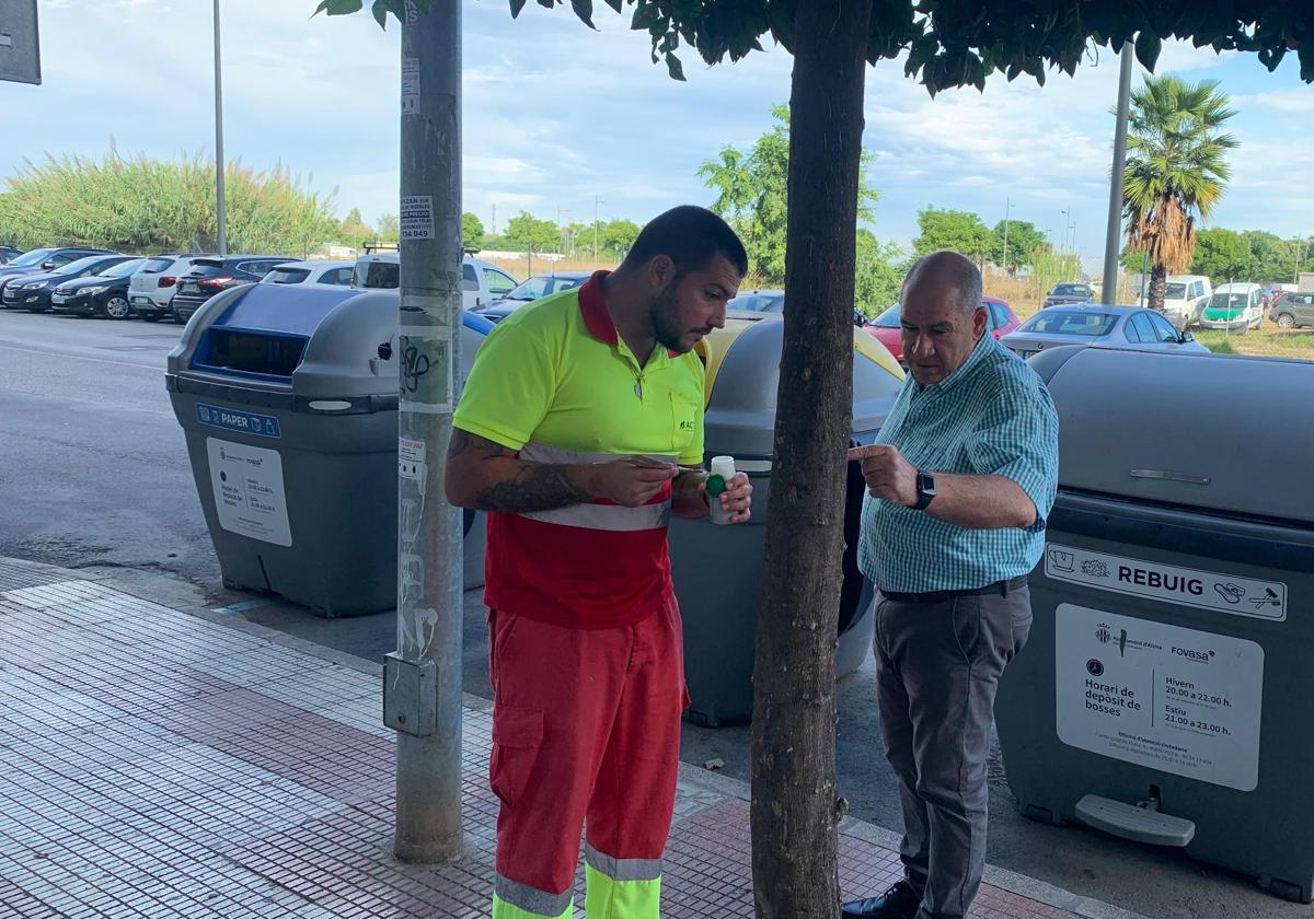 Suelta de insecctos en Alzira.