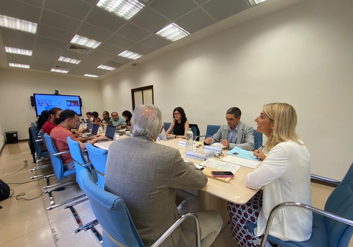 Sonia Sancho presidiendo una mesa sectorial. A su izquierda, de espaldas, Pascual Hernández.