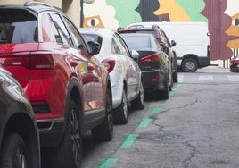 Zona verde en el barrio del Botánico.