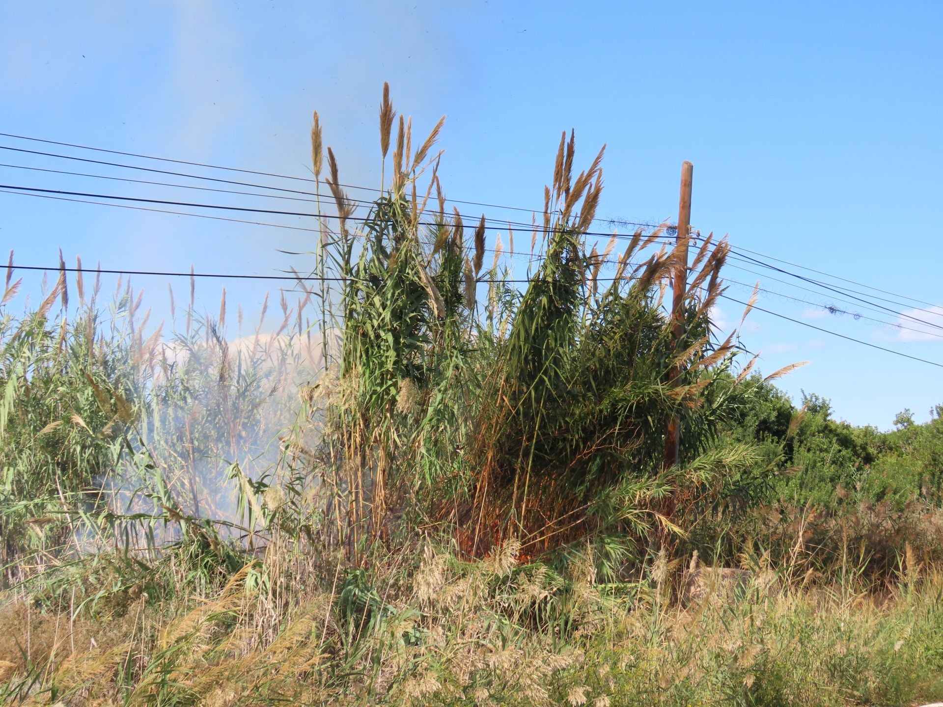 Los bomberos intervienen una quema de paja del arroz descontrolada en un campo junto a la Albufera