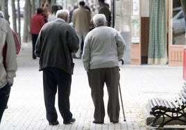 Una pareja de jubilados paseando.