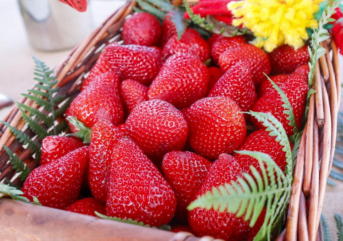 Las fresas son ricas en fenólicos, polifenoles, micronutrientes y vitaminas.