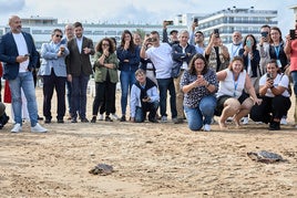 Suelta de tortugas en Gandia.