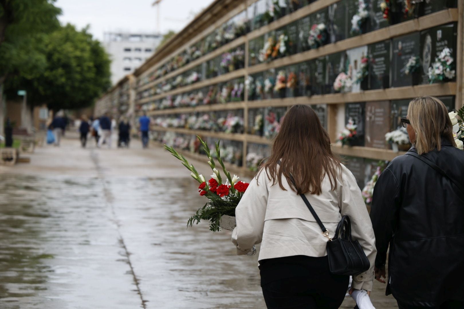 El Cementerio de Valencia se prepara para el día de Todos los Santos