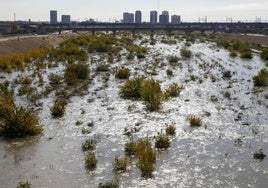 El nuevo cauce del río, este martes.