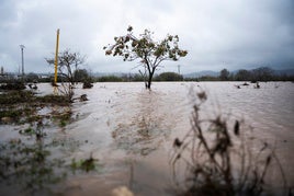 El río Magro, crecido a la altura de Alfarp.