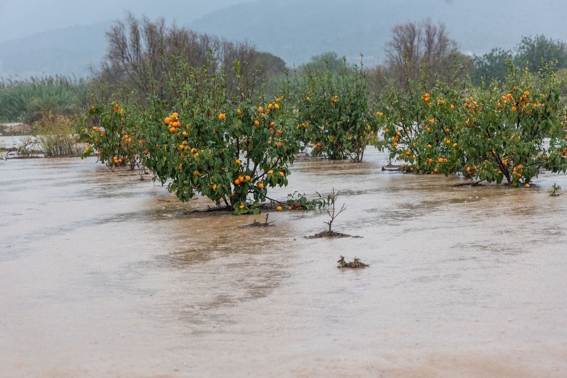 Las DANA arrasa en la Comunitat dejando pueblos incomunicados y rescates de vehículos