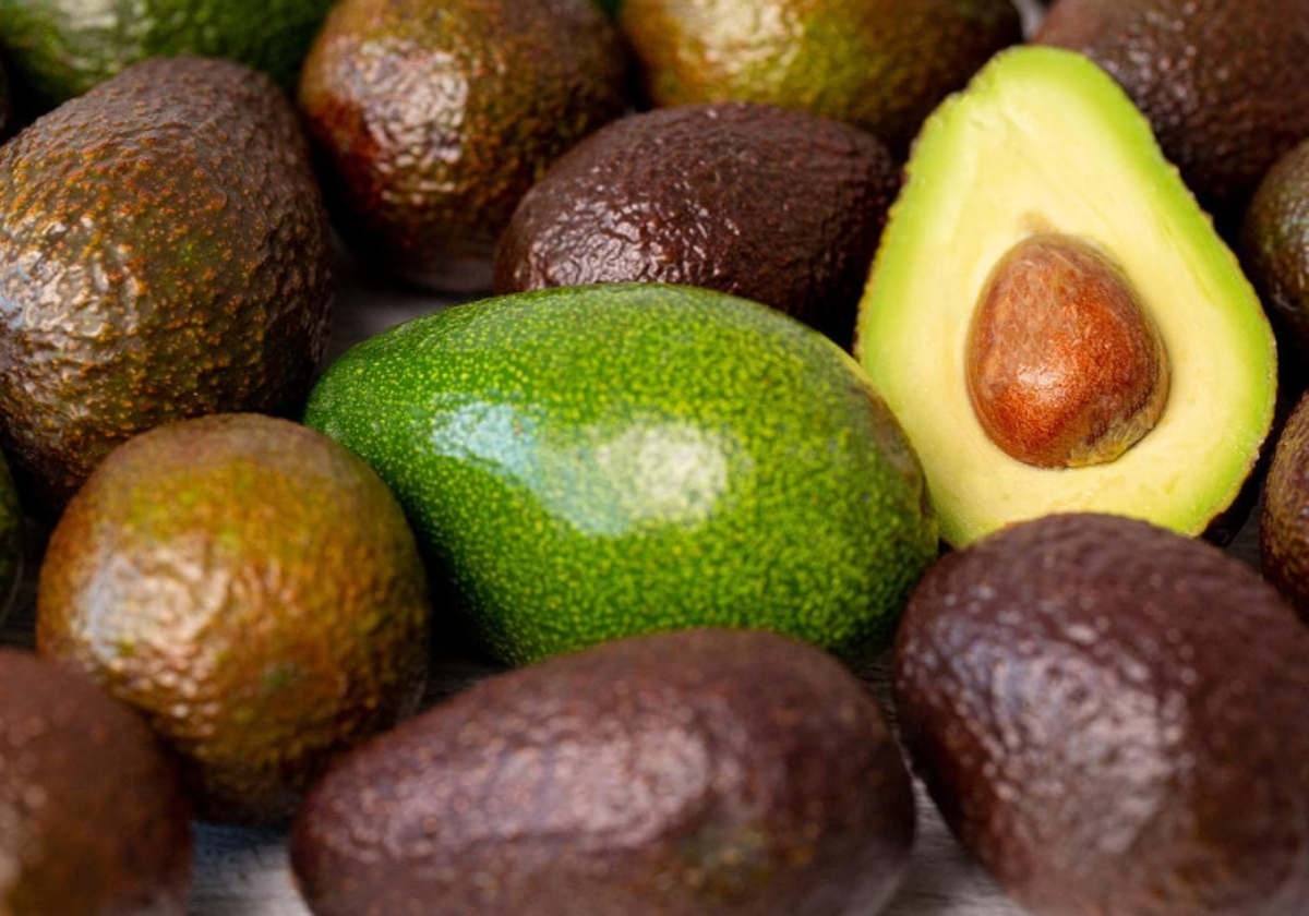 Detectan aguacates de Sudáfrica con una sustancia dañina para la salud