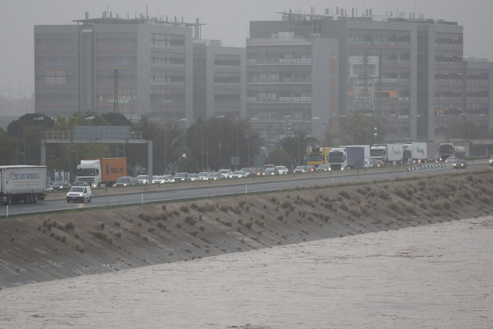 FOTOS | Así está el nuevo cauce del Turia a su paso por Valencia: unas imágenes nunca vistas