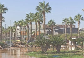 El centro comercial Bonaire, tras las lluvias.