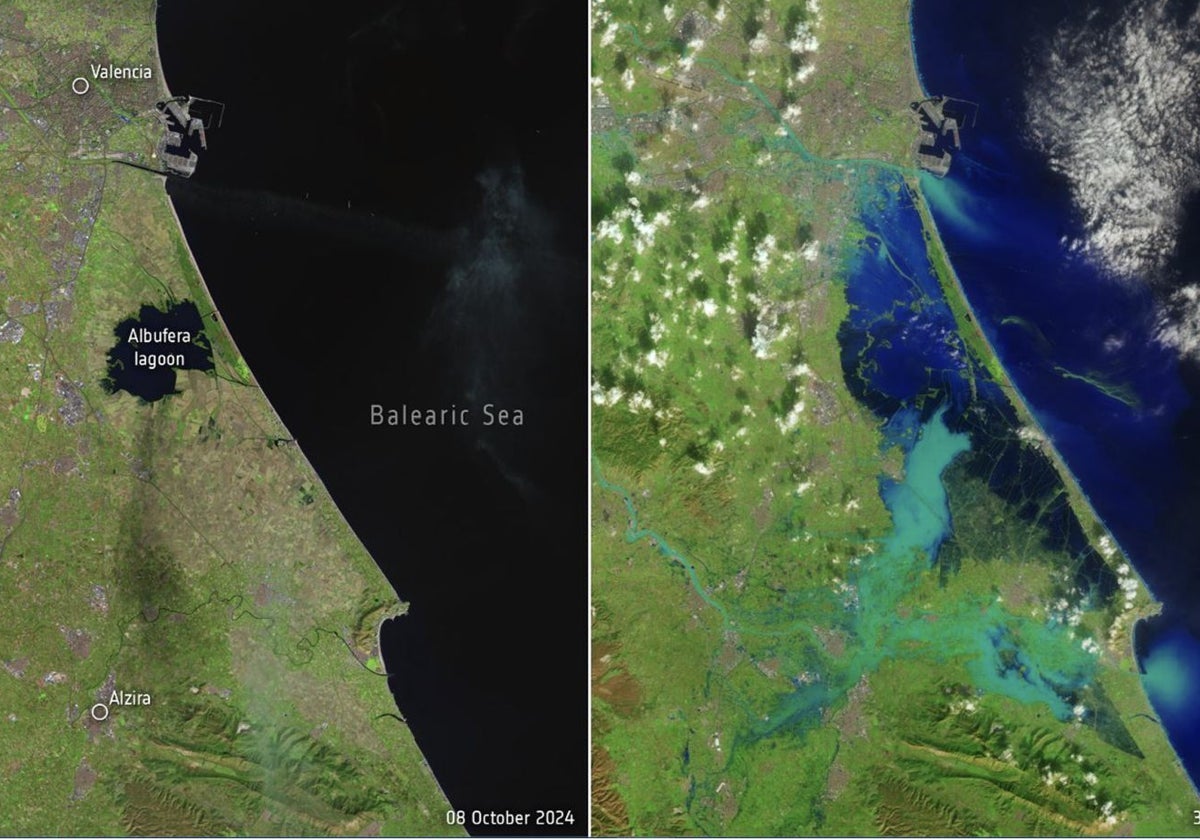 La DANA cambia el perfil de la Albufera