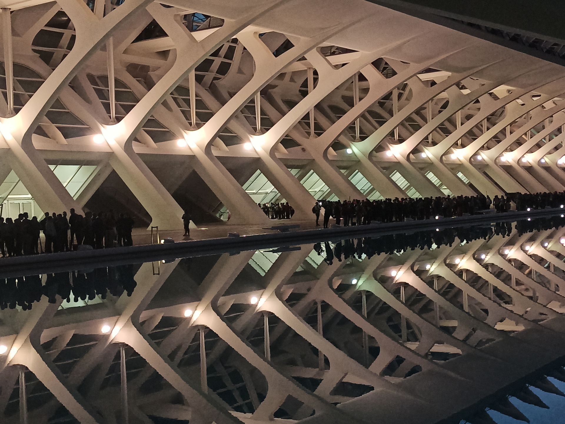 Fotos: miles de voluntarios acuden al Museo Príncipe Felipe de Valencia