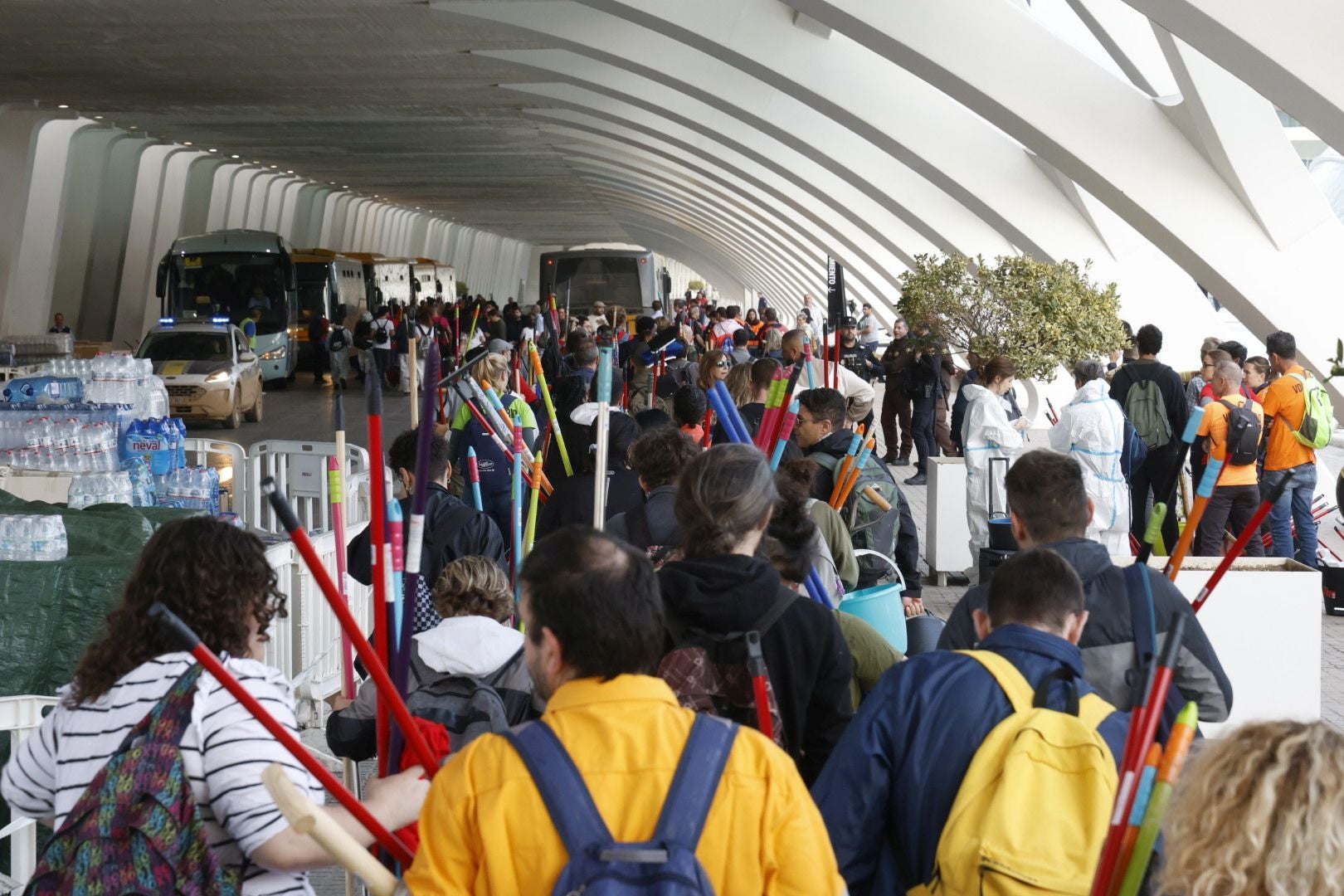 Fotos: voluntarios en la Ciudad de las Artes y las Ciencias de Valencia