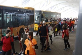 Fotos: voluntarios en la Ciudad de las Artes y las Ciencias de Valencia