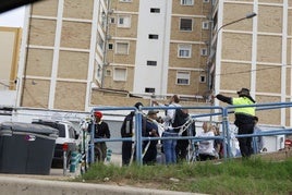 Numerosos voluntarios acuden a La Torre para colaborar en las tareas de limpieza.