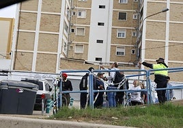 Gente cruzando la pasarela de la V-30.