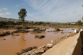 Efectos de la lluvia en Pedralba.