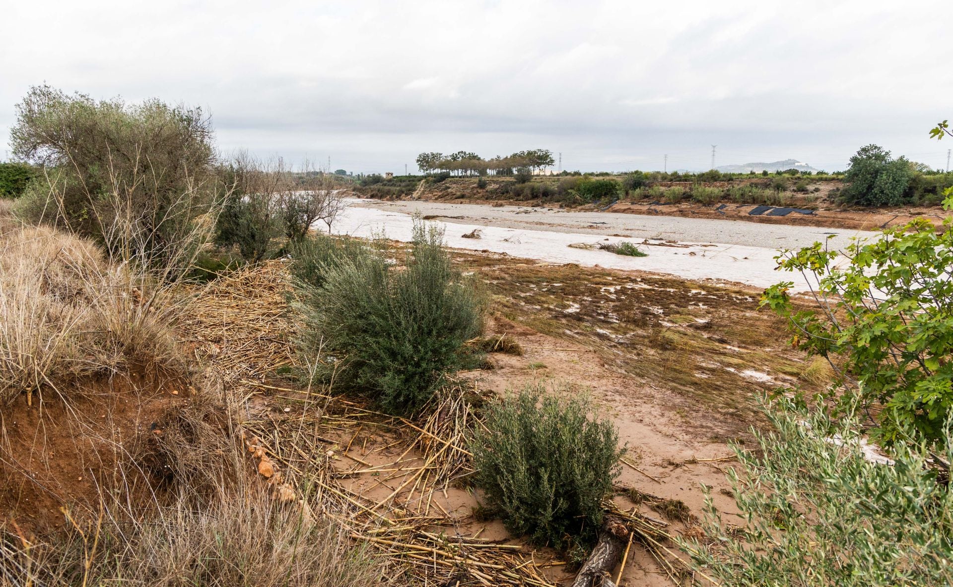 FOTOS | El Parque Natural del Turia ya no existe