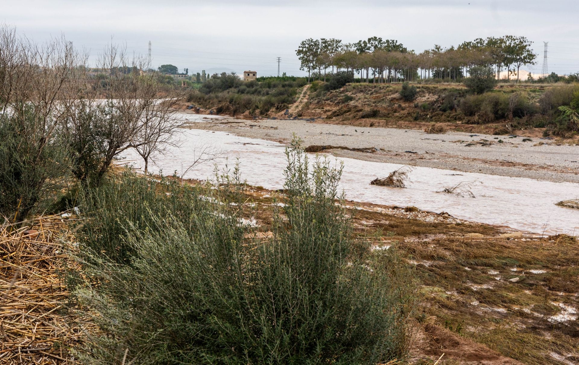 FOTOS | El Parque Natural del Turia ya no existe