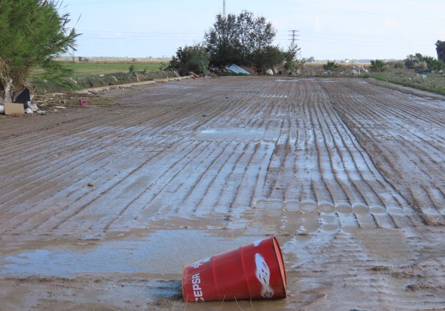 Bidón de hidrocarburos en un arrozal de la Albufera.