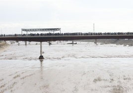 Voluntarios sobre la pasarela denominada ahora Puente de la Solidaridad.