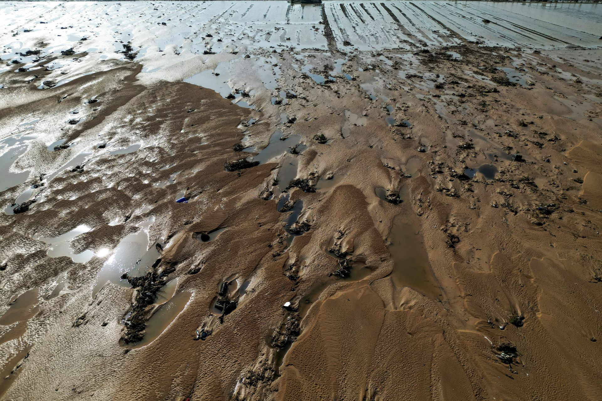 La desoladora imagen de la Albufera tras la DANA