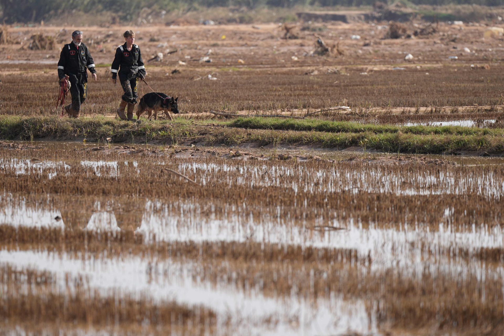 La desoladora imagen de la Albufera tras la DANA