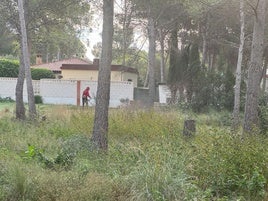 Labores de prevención de incendios en Olocau.