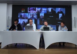 Gomar, segundo por la derecha, en la charla telemática con los presidentes afectados.