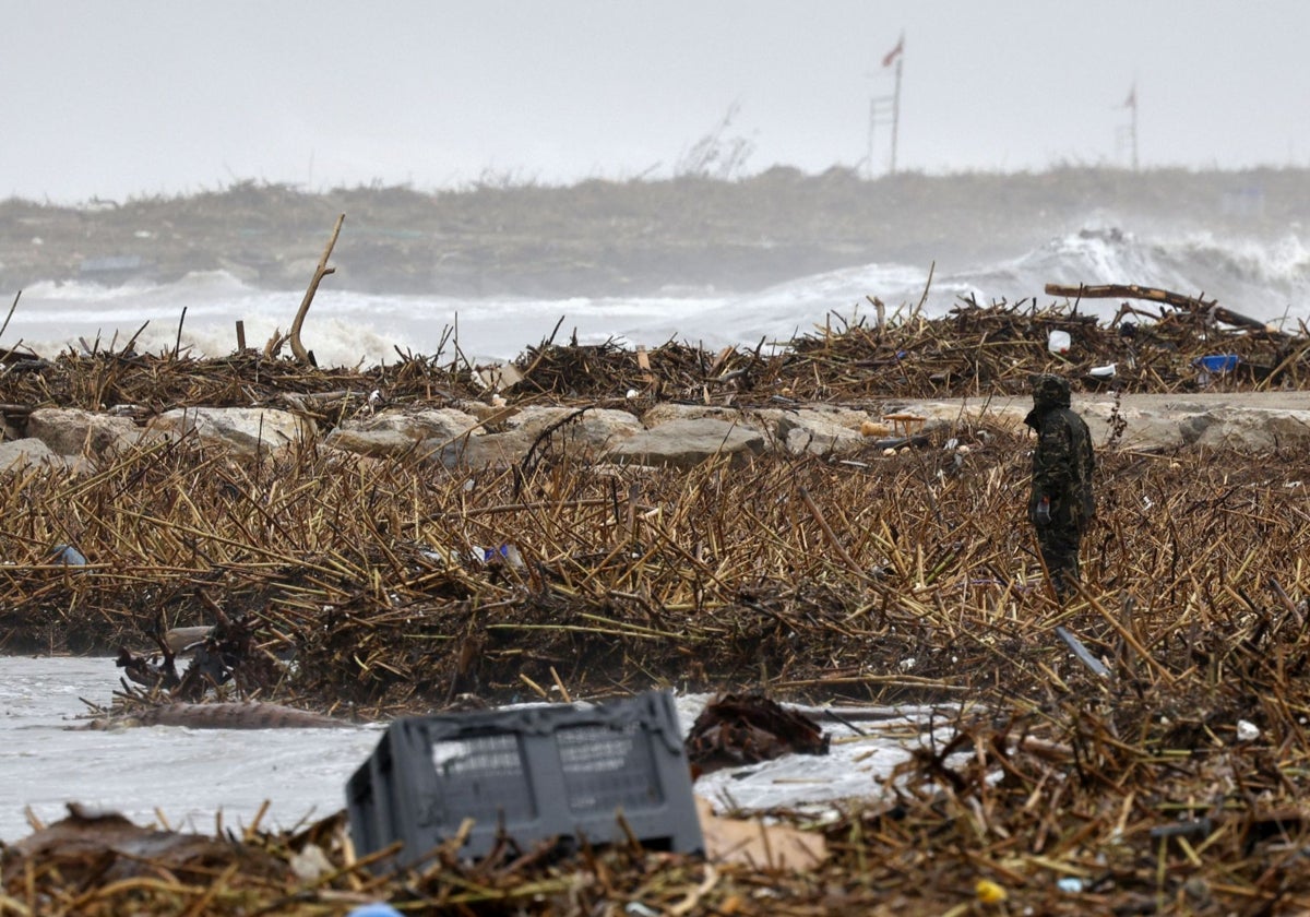 Imagen de acumulación de residuos arrastrados por las aguas hasta la orilla del mar.