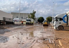 Algunas de las calles del polígono del Oliveral y del Parque Logístico siguen llenas de barro.