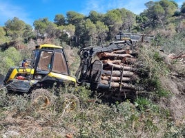 La maquinaria efectuando trabajos de clareo.