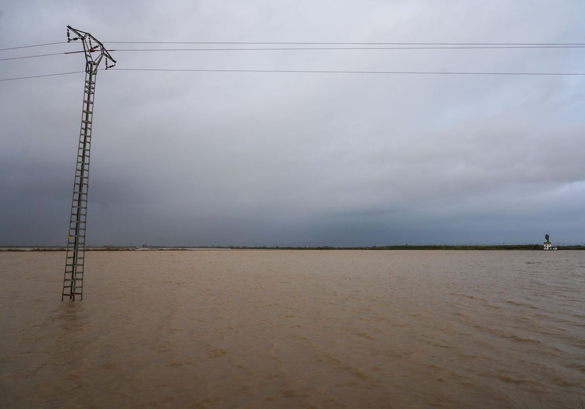 Inundación de la Albufera por la segunda DANA este jueves.