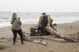 Restos de árboles llegado a Blay Beach.