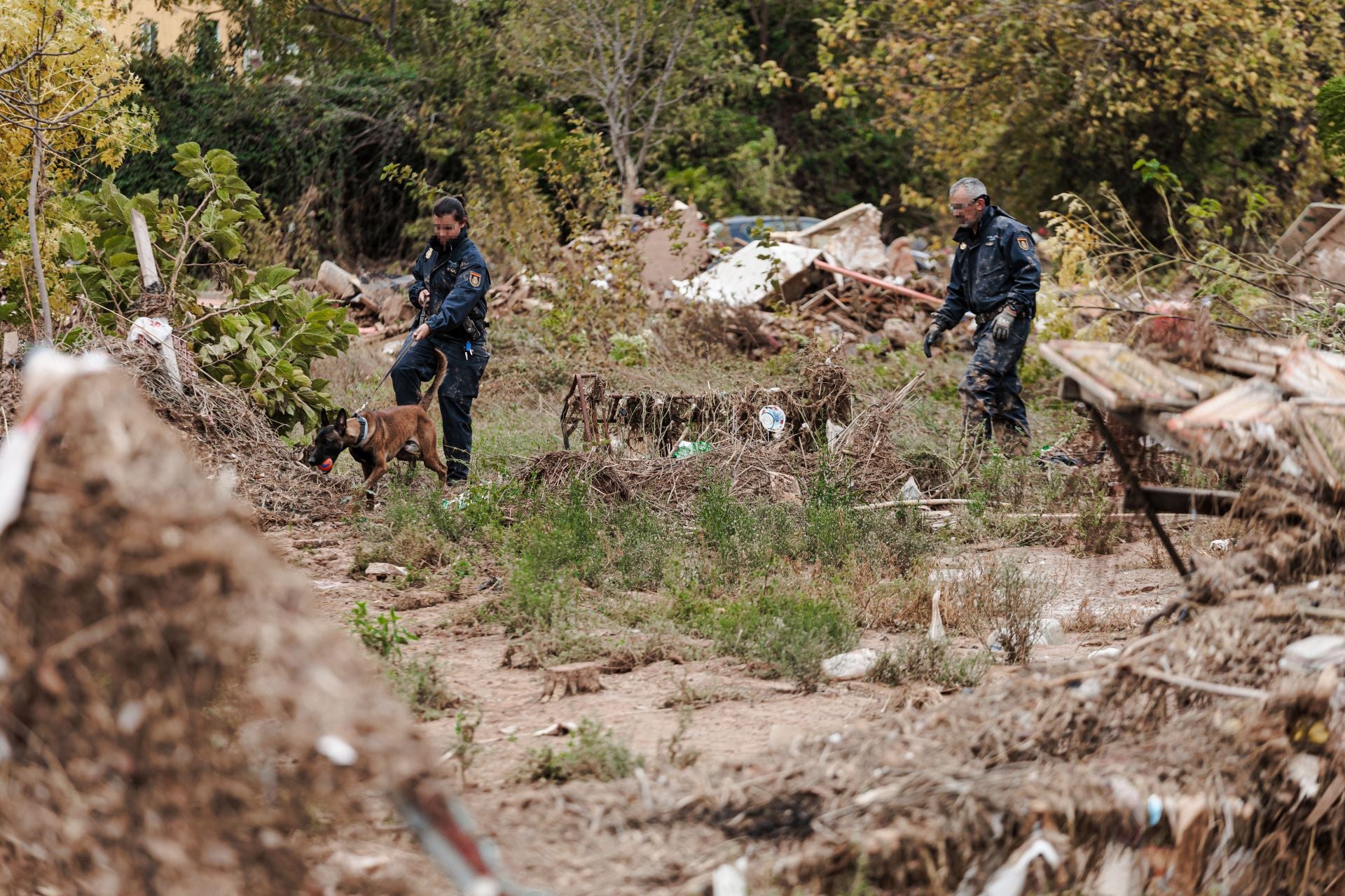 Hallan un cuerpo en un descampado de Sedaví durante los trabajos de búsqueda de desaparecidos por la DANA