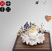 Una tapa de la Comunitat, subcampeona de España