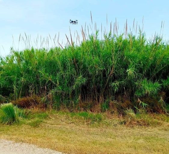 Un dron de fumigación.